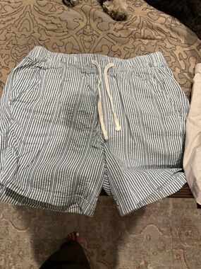 Hollister White and Navy Striped Men’s Shorts